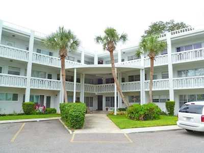 2021 Australia WAY W #11 Clearwater, FL 33763