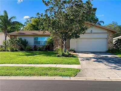 2089 Swan Ln Safety Harbor, FL 34695