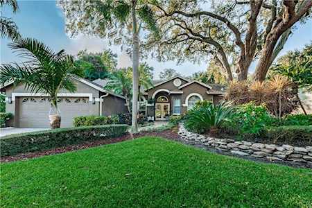 1705 Country Trails Dr Safety Harbor, FL 34695