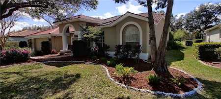 3202 Crescent Oaks Blvd Tarpon Springs, FL 34688
