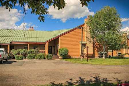 247 Davis Cup Pagosa Springs, CO 81147