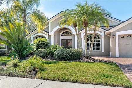 15008 Lakeside Cove Ct Odessa, FL 33556
