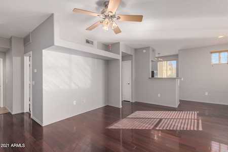 3302 N 7th Street #220 Phoenix, AZ 85014