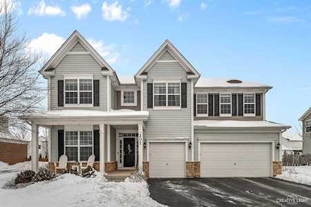 207 Julep Ave Oswego, IL 60543