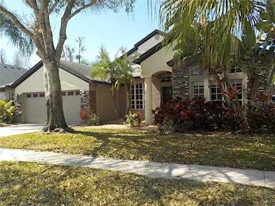 1601 Tawnyberry Ct Trinity, FL 34655