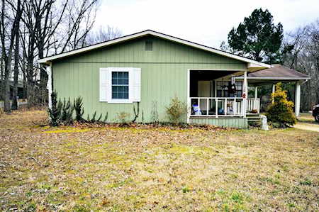 290 Lakeview Manor Rd Springville, TN 38256