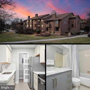 5354 Smooth Meadow Way #10 Columbia, MD 21044