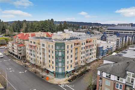 11004 NE 11th St #503 Bellevue, WA 98004