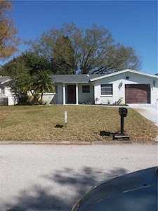 404 David Ct Palm Harbor, FL 34684