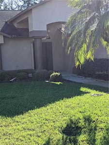 1325 Canberley Ct Trinity, FL 34655
