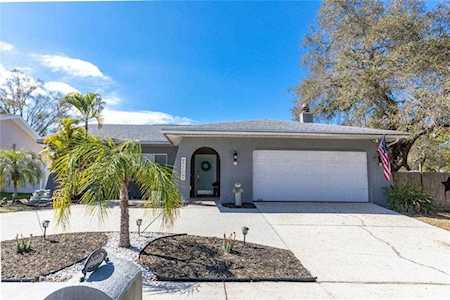 2198 Groveland Rd Palm Harbor, FL 34683