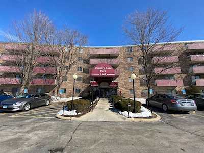 1463 Mercury Dr #406 Schaumburg, IL 60193