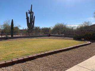 5919 E Wildcat Drive Cave Creek, AZ 85331