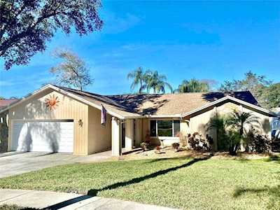 4725 Orange Grove WAY Palm Harbor, FL 34684