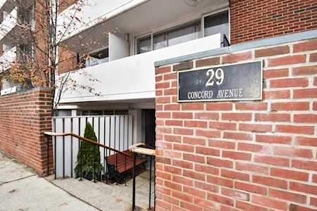 29 Concord Ave #307 Cambridge, MA 02138