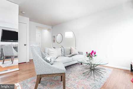 2907D Woodley St #4 Arlington, VA 22206
