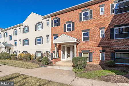 3041 Patrick Henry Dr Falls Church, VA 22044