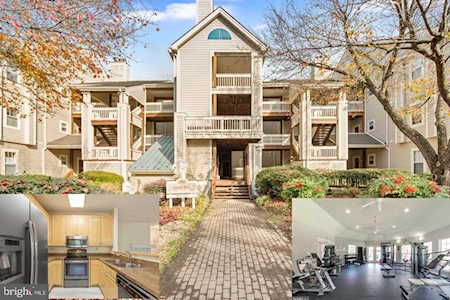 1203 Back Creek Loop Solomons, MD 20688