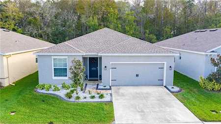 18628 Hunters Meadow WALK Land O Lakes, FL 34638