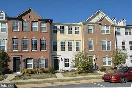 344 Pink Azalea Terrace SE Leesburg, VA 20175