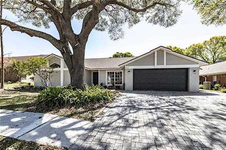 2607 Brianholly Dr Valrico, FL 33596