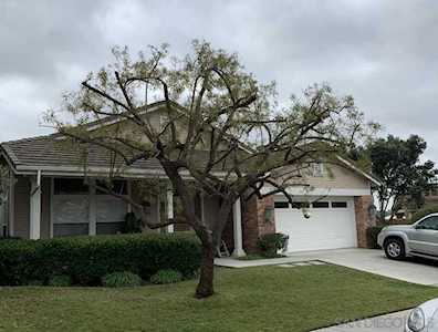 3309 Camino Coronado Carlsbad, CA 92009