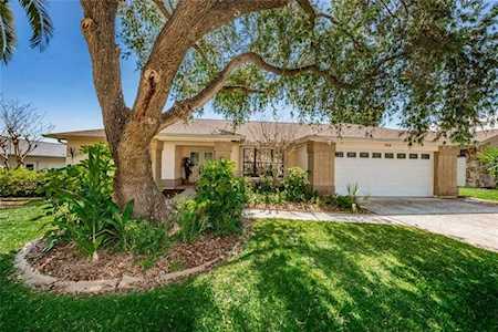 213 N Bay Hills Blvd Safety Harbor, FL 34695