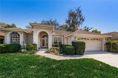 8429 Basuto Dr Trinity, FL 34655