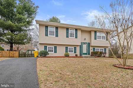 7736 Acrocomia Dr Hanover, MD 21076