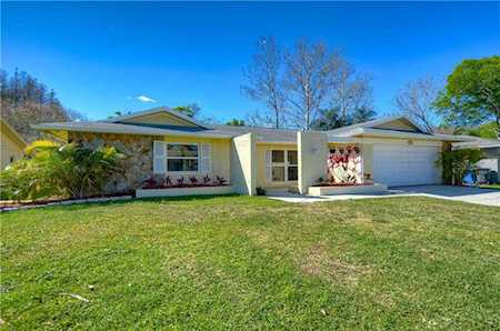 4008 Barwood Ct Tampa, FL 33624