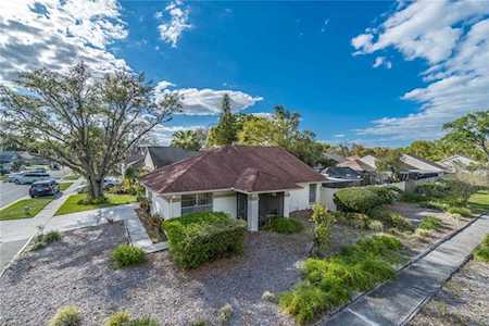 11913 Sugar Tree Dr Tampa, FL 33625