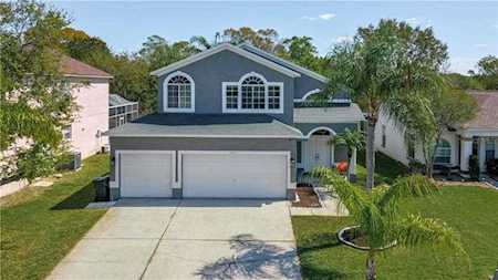 1641 Gray Bark Dr Oldsmar, FL 34677