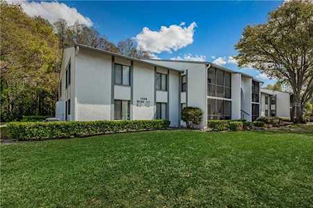 1258 Pine Ridge CIRCLE W #C1 Tarpon Springs, FL 34688