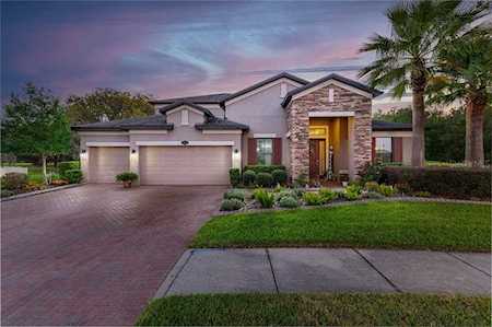 19446 Whispering Brook Dr Tampa, FL 33647
