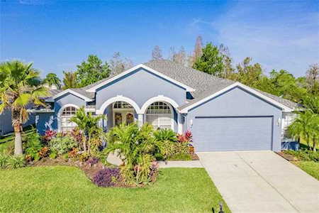 2113 Cardamon Dr Trinity, FL 34655