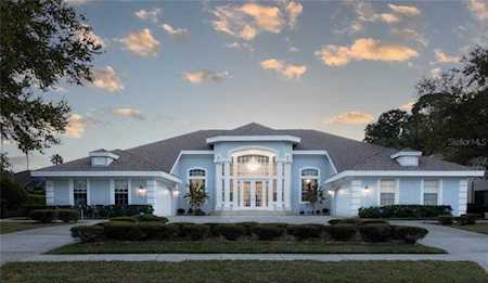 3942 Executive Dr Palm Harbor, FL 34685