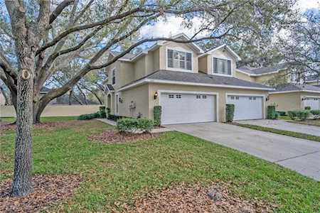6401 Spring Oak Ct Tampa, FL 33625