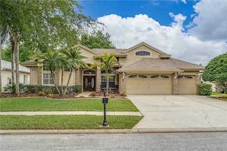 4126 Auston WAY Palm Harbor, FL 34685