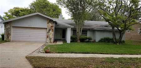 2579 Winding WAY Palm Harbor, FL 34683