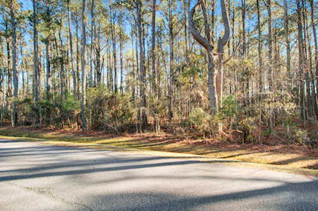 0 Sportsman Island Dr Wando, SC 29492