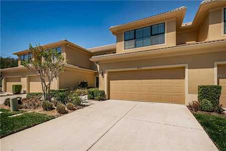2523 Tranquility Dr Palm Harbor, FL 34684