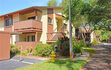 643 Yorkshire Ct #D Safety Harbor, FL 34695