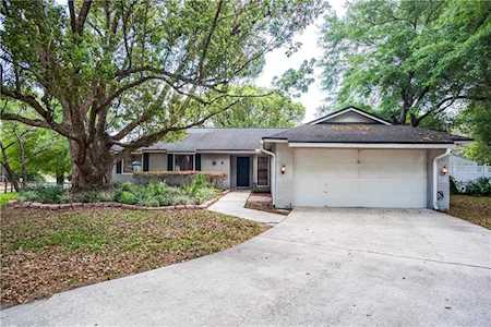 9 Spanish Oak Ln Apopka, FL 32703