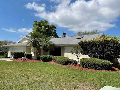 5003 Bridgeport Dr Safety Harbor, FL 34695