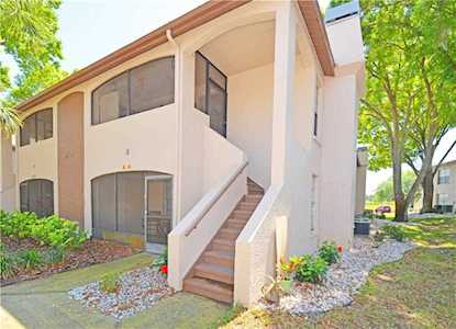 2981 Bonaventure CIRCLE #201 Palm Harbor, FL 34684
