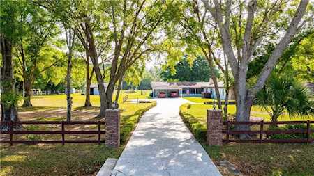 997 Appaloosa Rd Tarpon Springs, FL 34688
