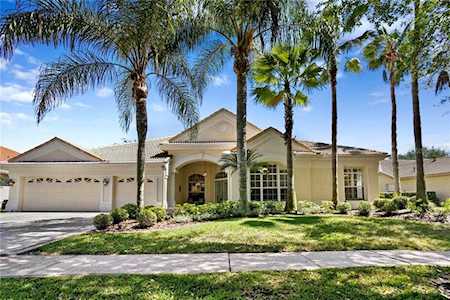 17809 Arbor Haven Dr Tampa, FL 33647