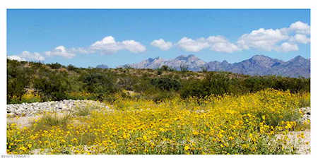 6120 Lazo Del Sur Las Cruces, NM 88011