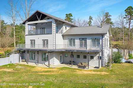 100 Co Rd 123 Crane Hill, AL 35053