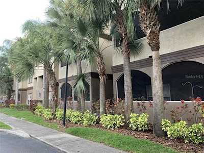 16355 Enclave Village Dr #104 Tampa, FL 33647